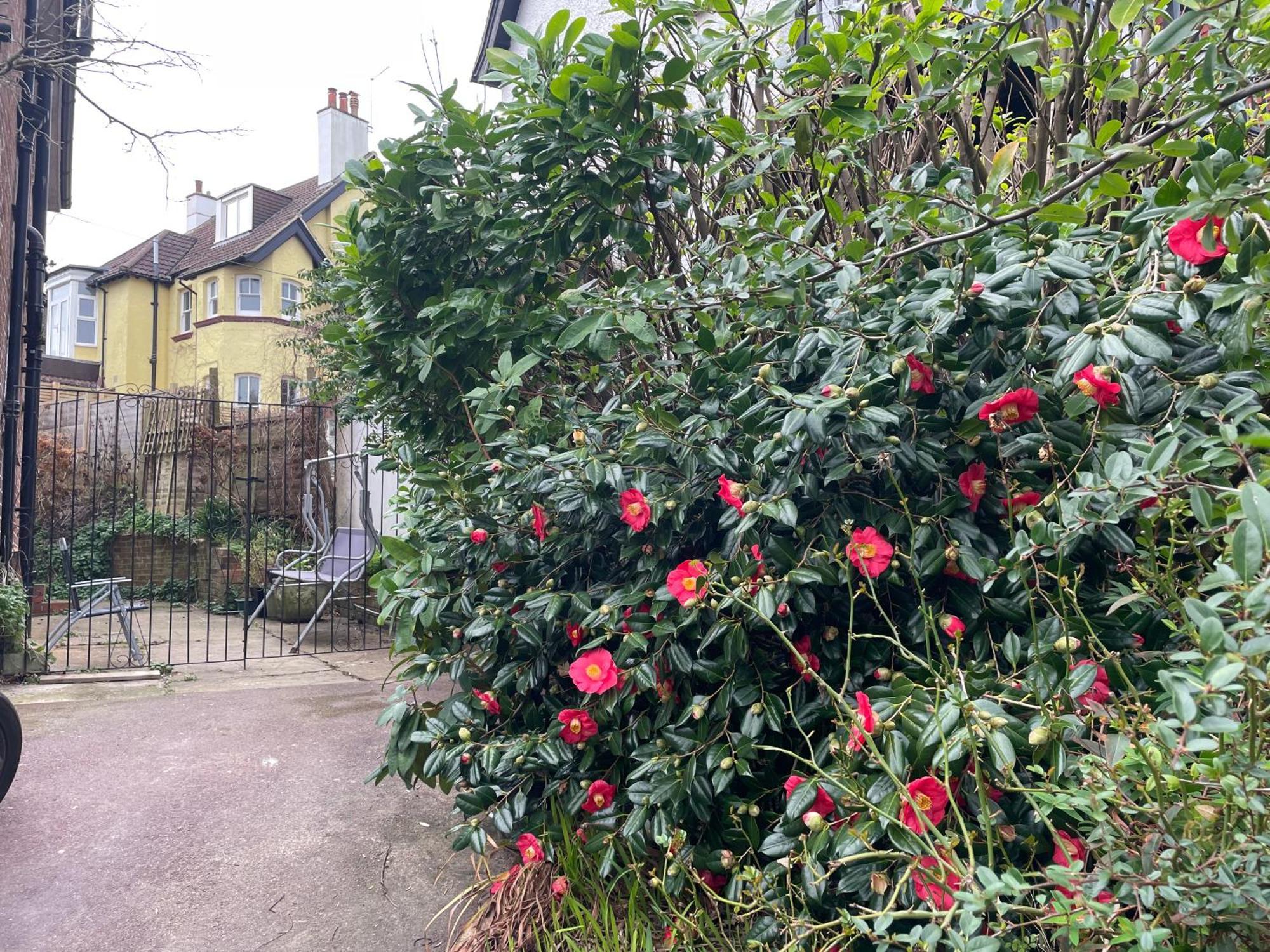 Bed and breakfast Livadia House At St Leonards On Sea Extérieur photo